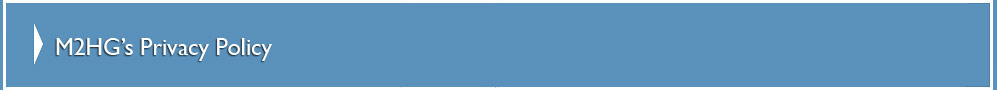 M2HG Website Hosting and Website Design