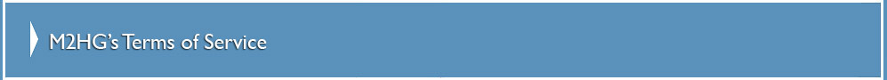 M2HG Website Hosting and Website Design