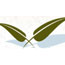 Brian S. Hunt - Clinical Massage Therapist