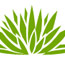 Flores Landscaping